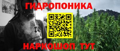 jwh Будённовск