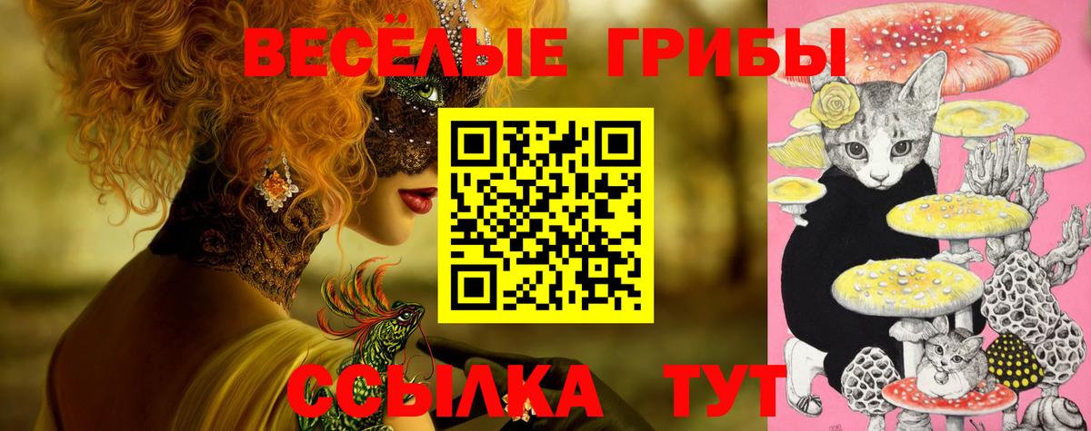 Псилоцибиновые грибы мицелий Трёхгорный